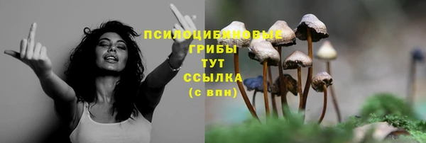 тгк Алексеевка