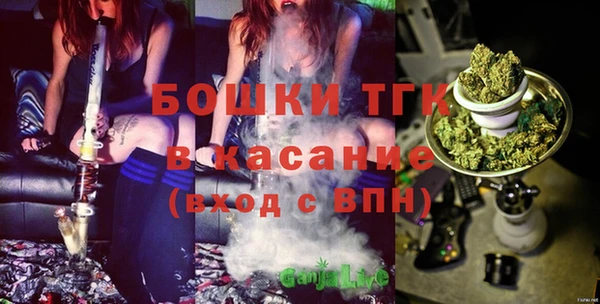 гидра Алзамай