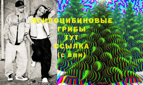 гидра Алзамай