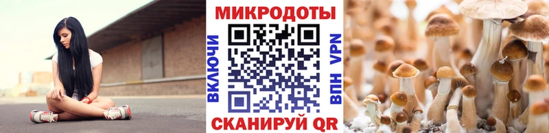 Галлюциногенные грибы Magic Shrooms  что такое наркотик  это клад  Аркадак 